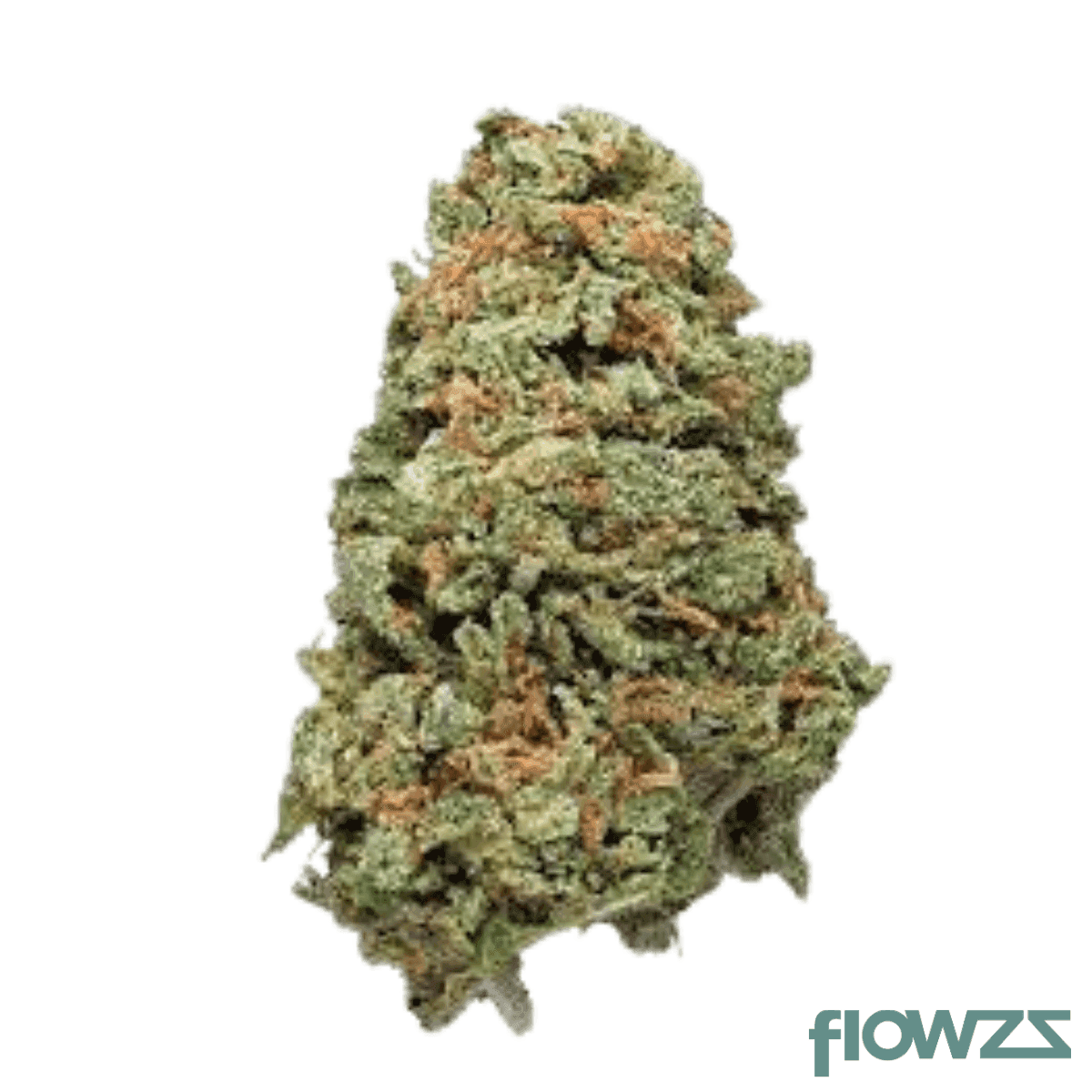 nedcann-hoh-19-01-honululu-haze-1