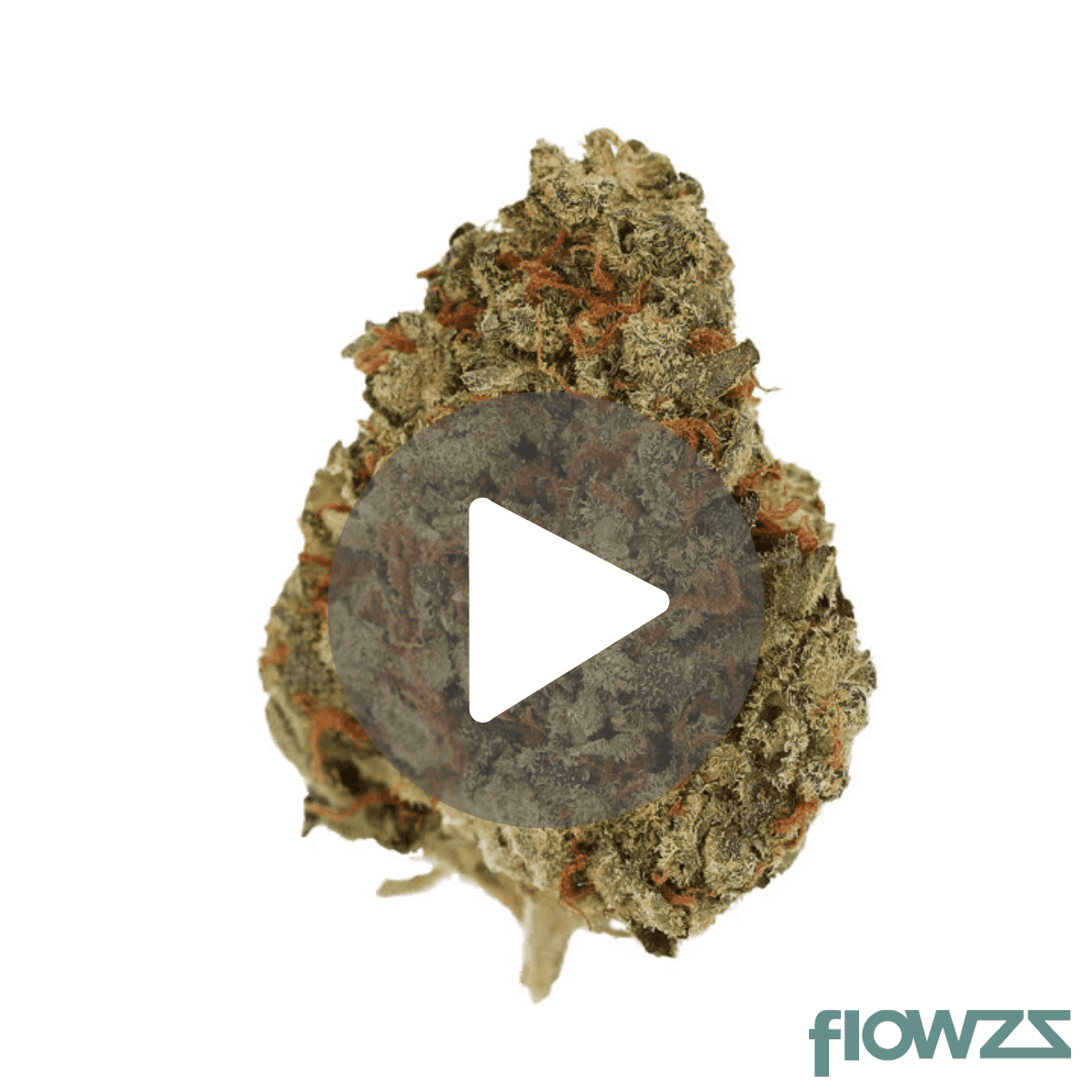  Cannamedical CM 24/1 OG Kush