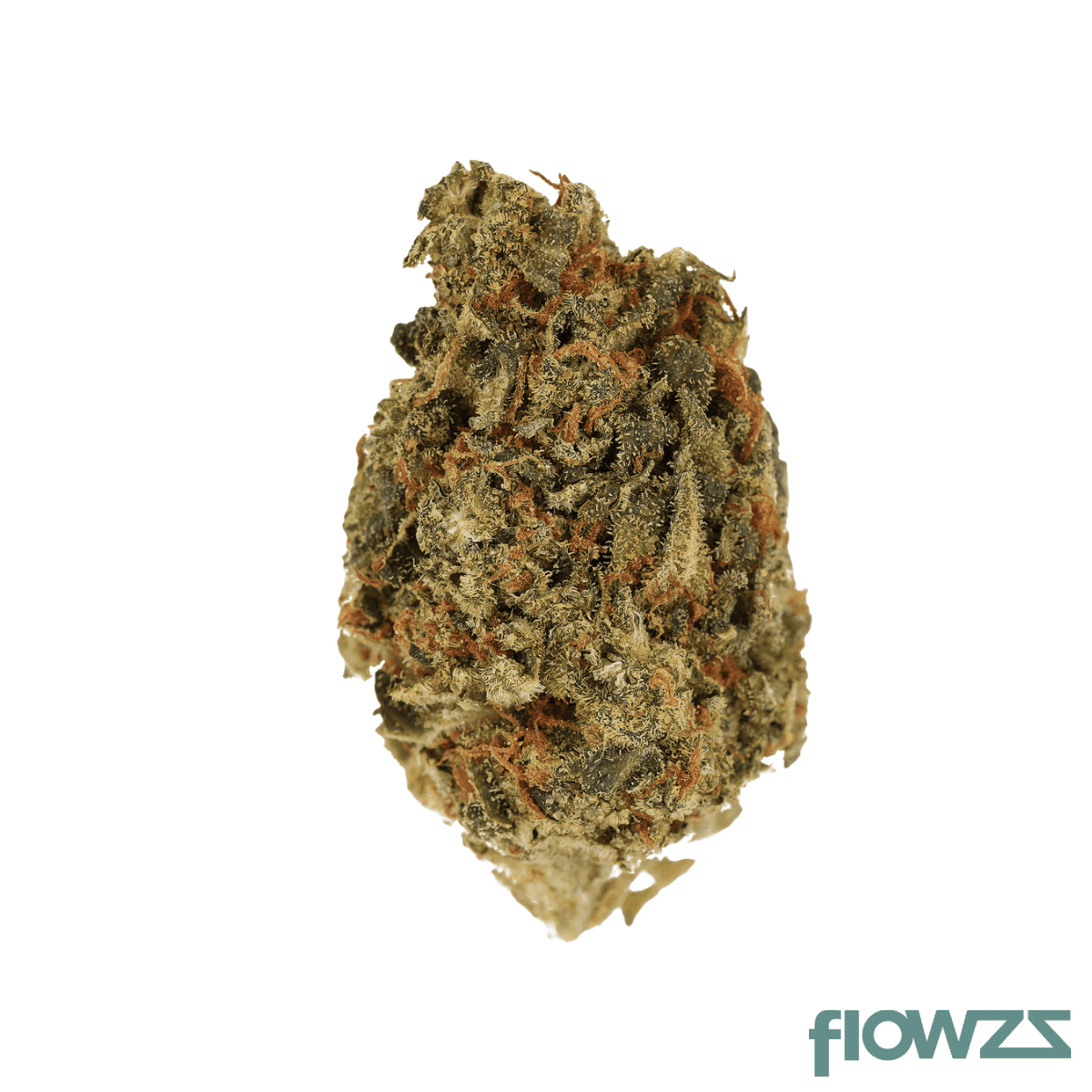  Cannamedical CM 24/1 OG Kush