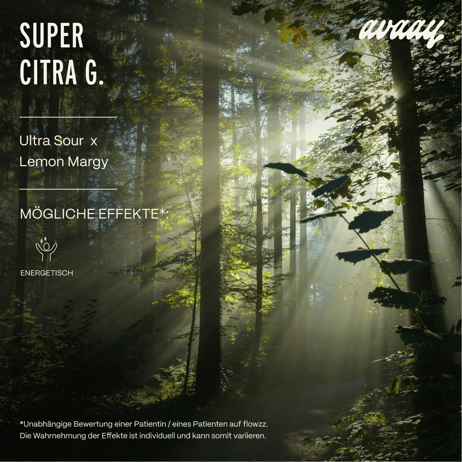 avaay 31/1 SCG Super Citra G