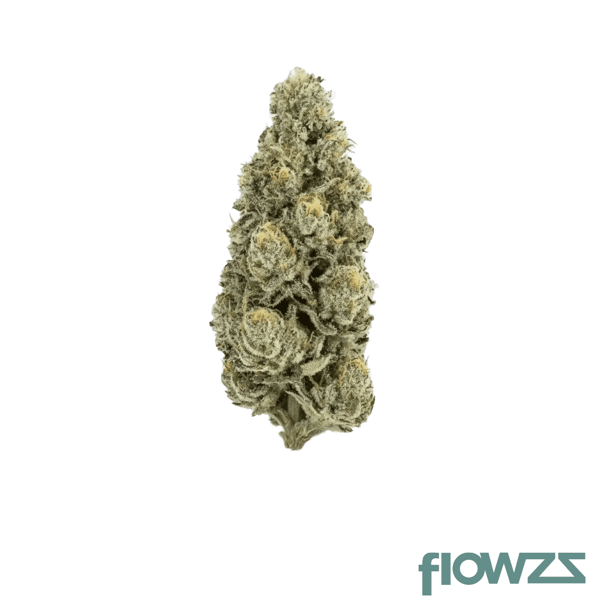 crqsh-cpjs-33-1-cap-junky