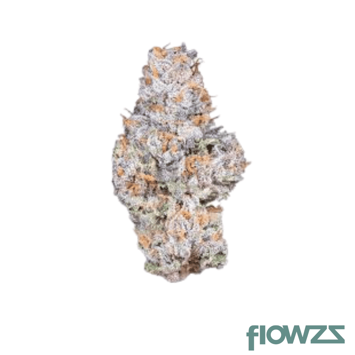 luana-28-1-cm-cherry-mints