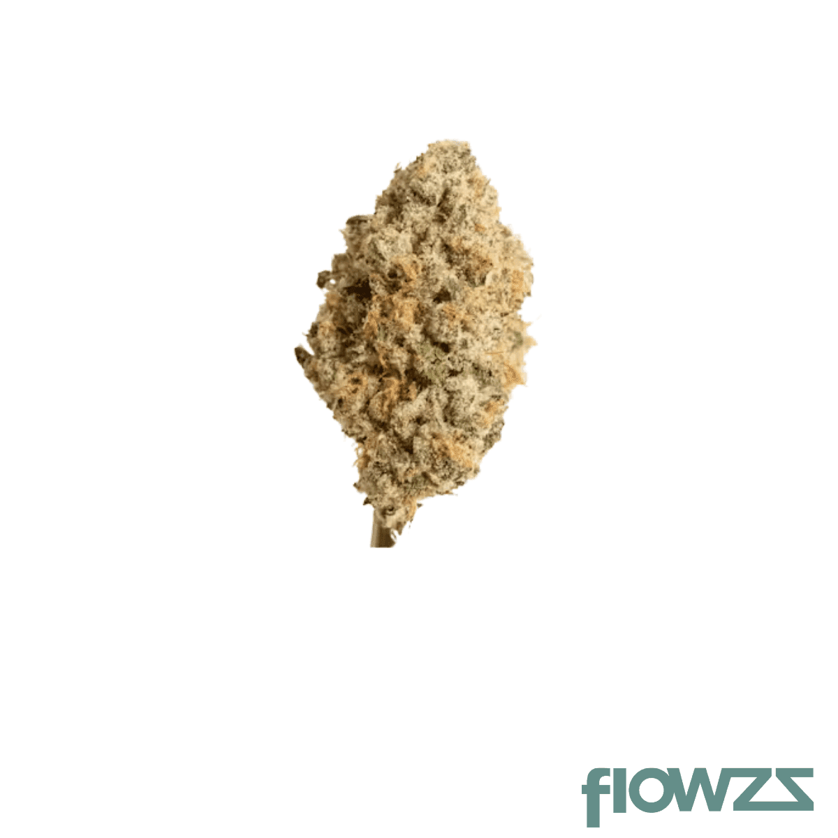 canngo-26-1-wg-vegas-wedding-cake