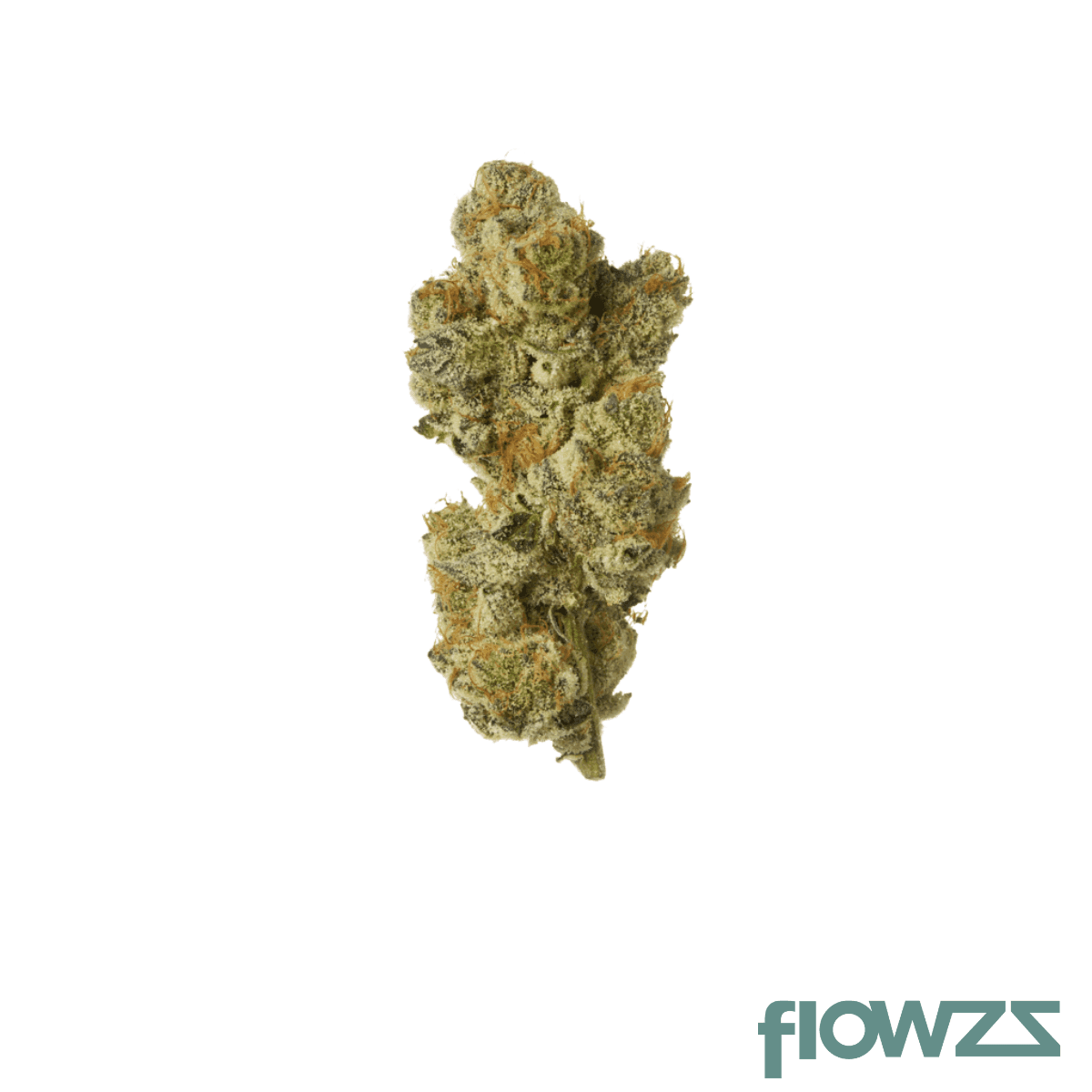 bc-green-pbb-20-1-pink-platinum-banana