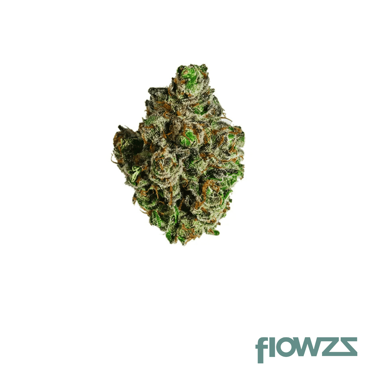cannamedical-sativa-forte-crescendo-cookies