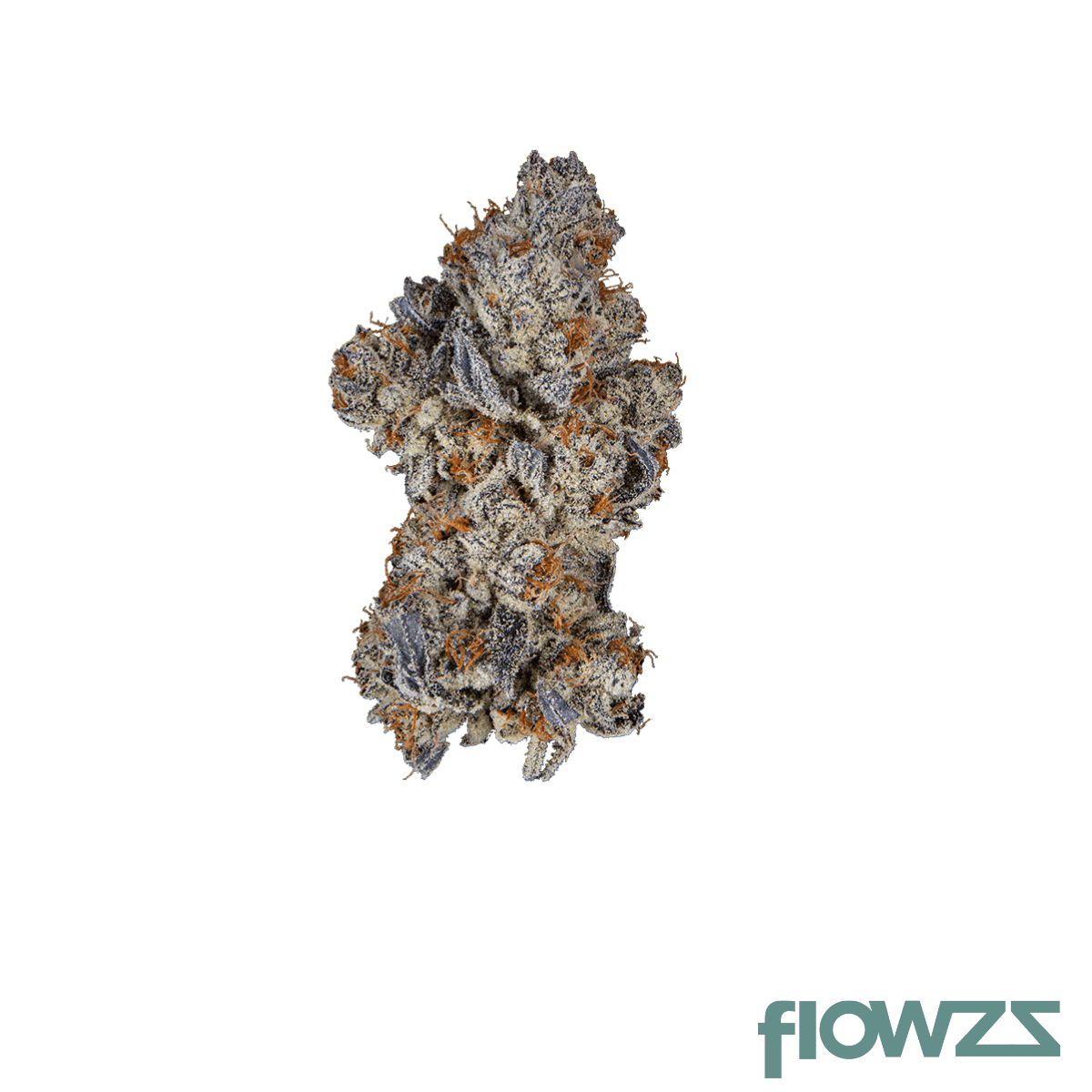 nice-31-1-sce-space-center