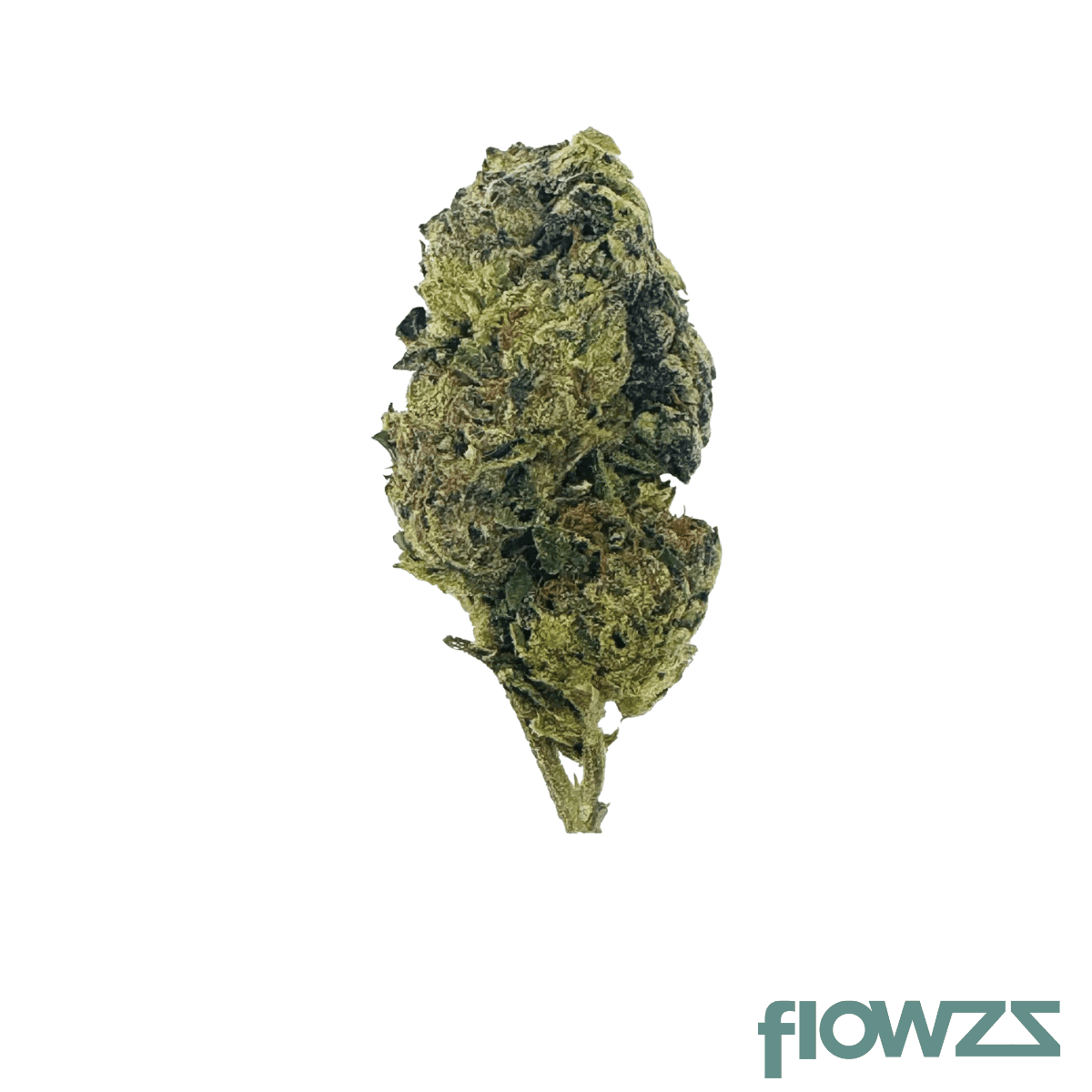 aayra-25-1-tsh-triangle-silver-haze