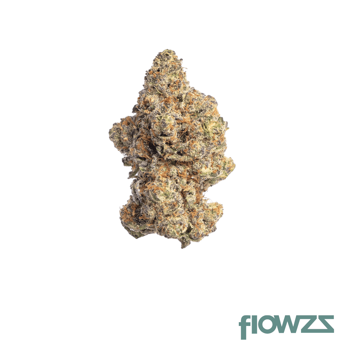 pop-up-no-9-26-1-pink-certz