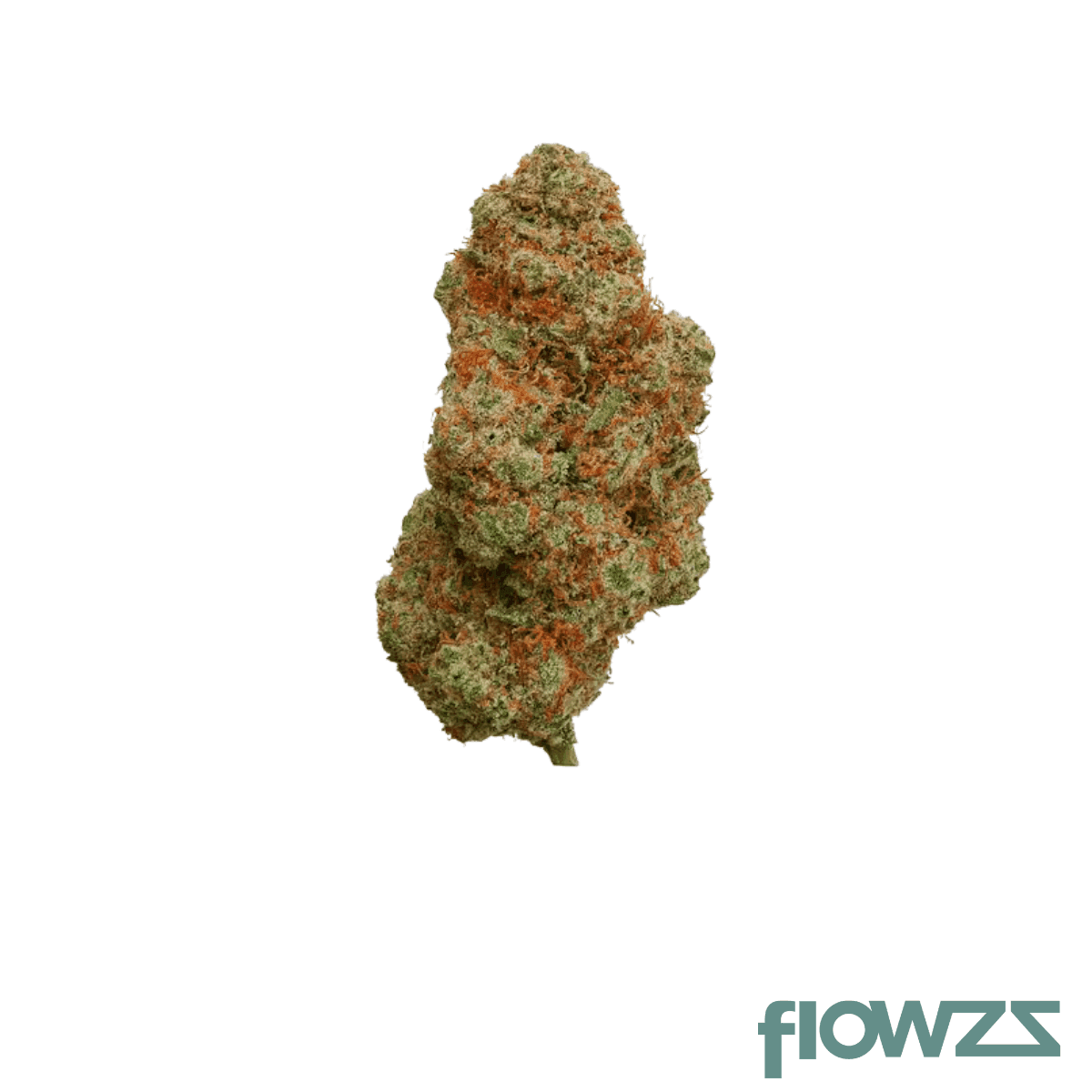 nice-26-1-gp-georgia-pie