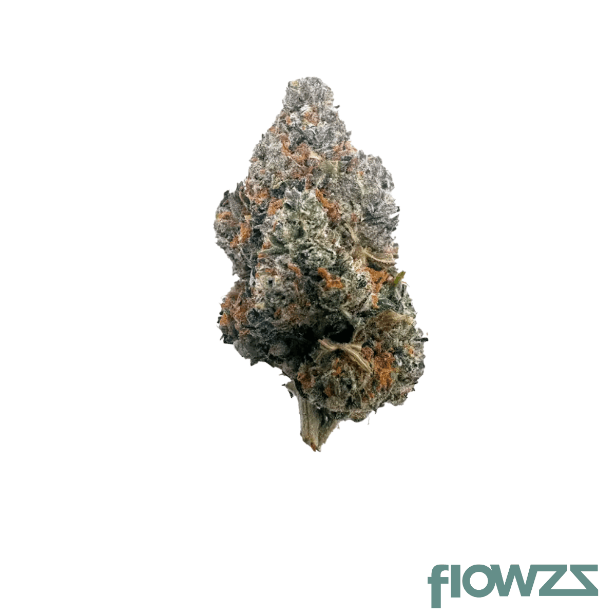 luana-28-1-gsc-girl-scout-cookies