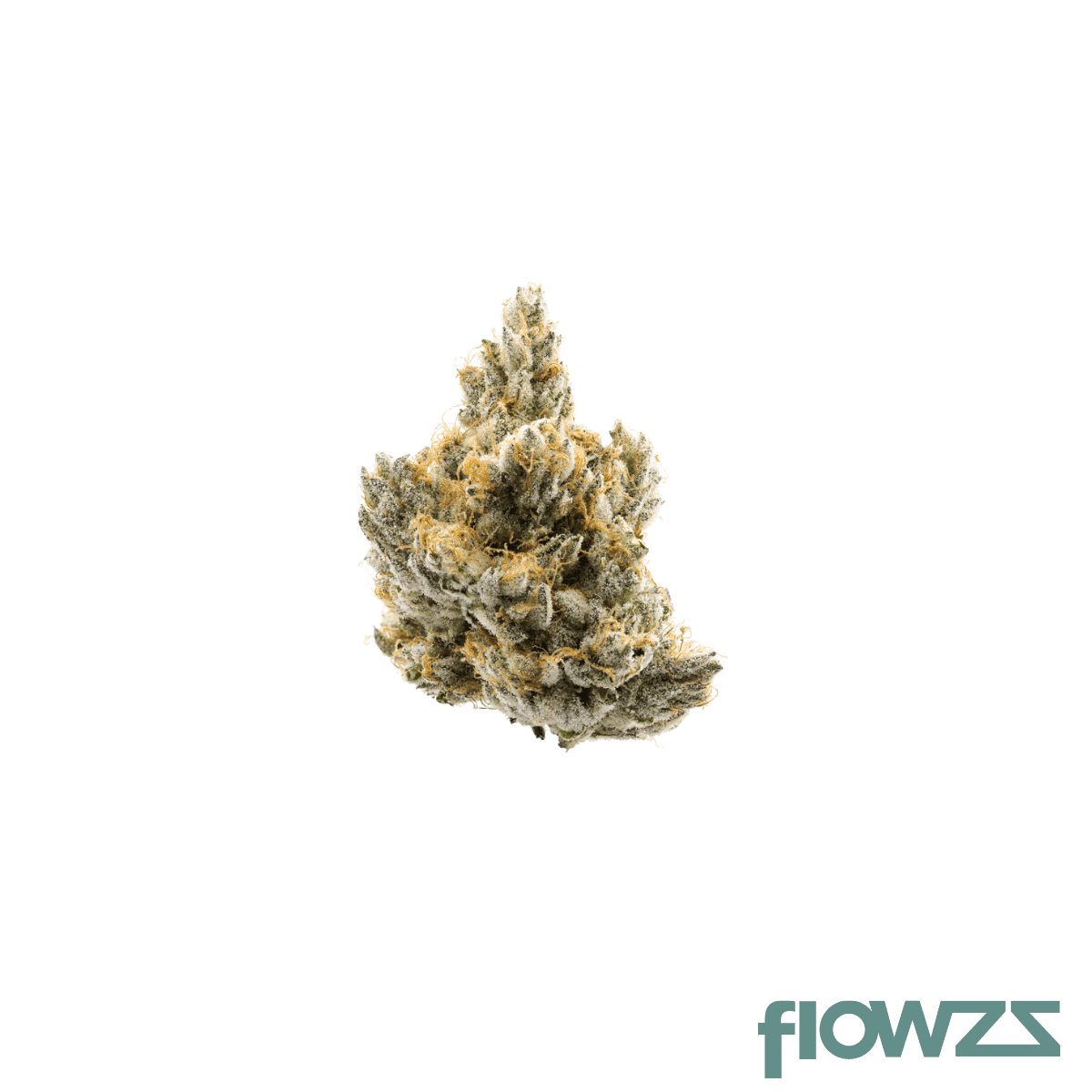 nice-27-1-tmi-triangle-mints