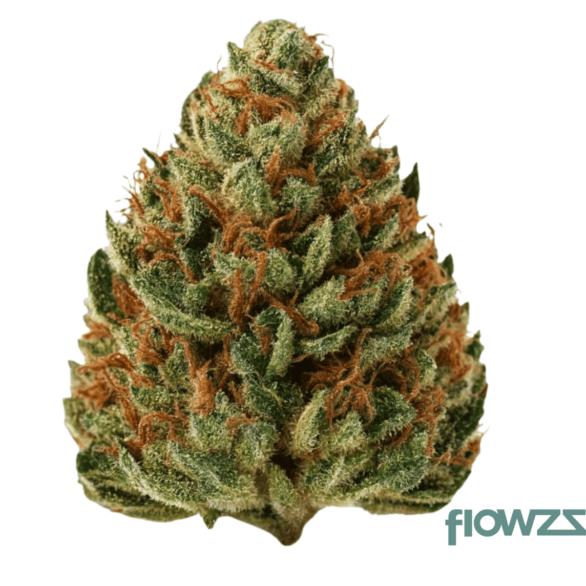 nice-26-1-led-legendary-larry