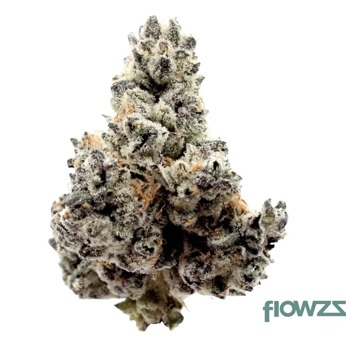 demecan-cv-strong-drop-dantez-inferno