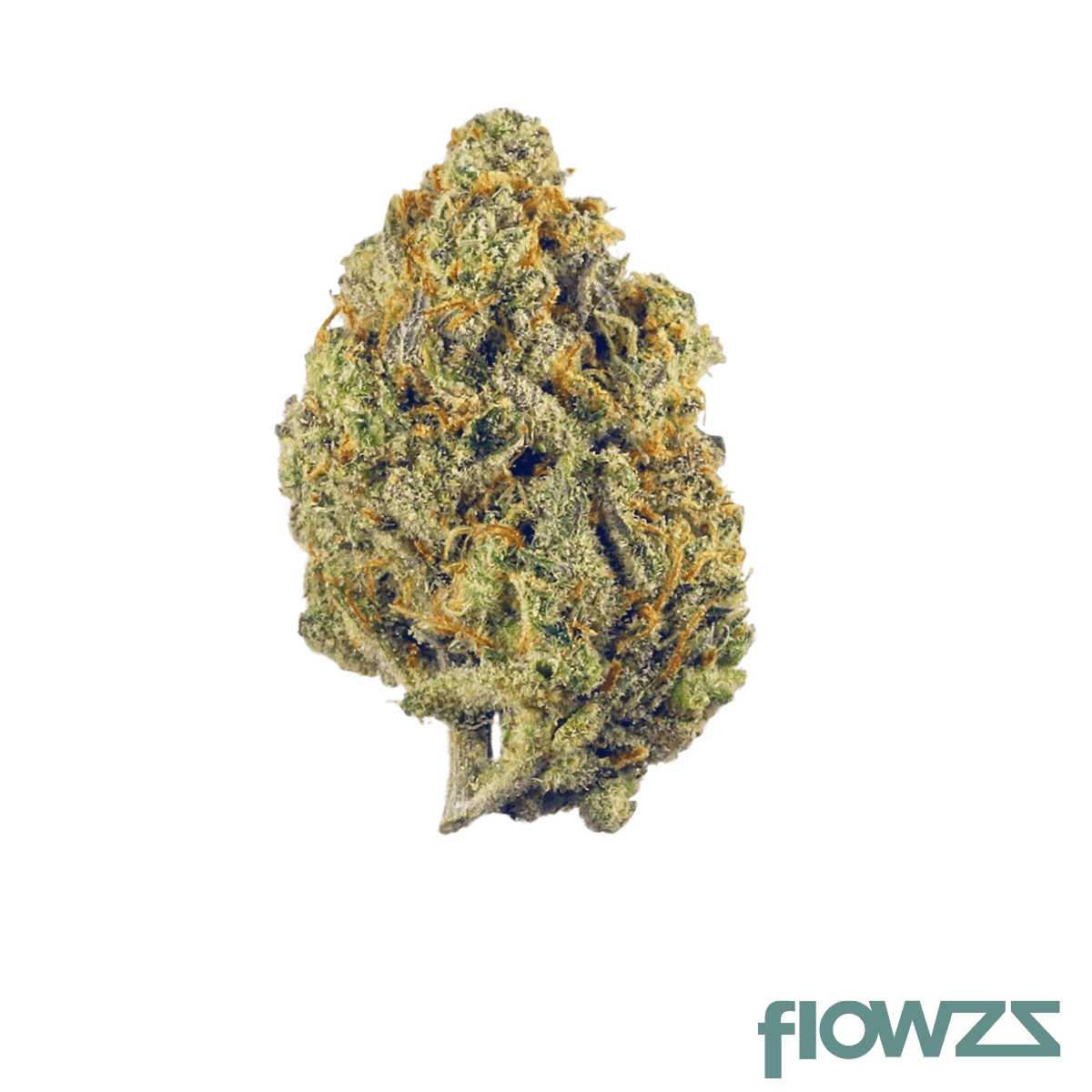 buuo-23-1-bv-boom-voyage