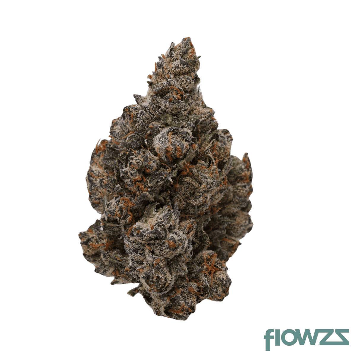 medical-saints-18-1-mge-mango-gelato