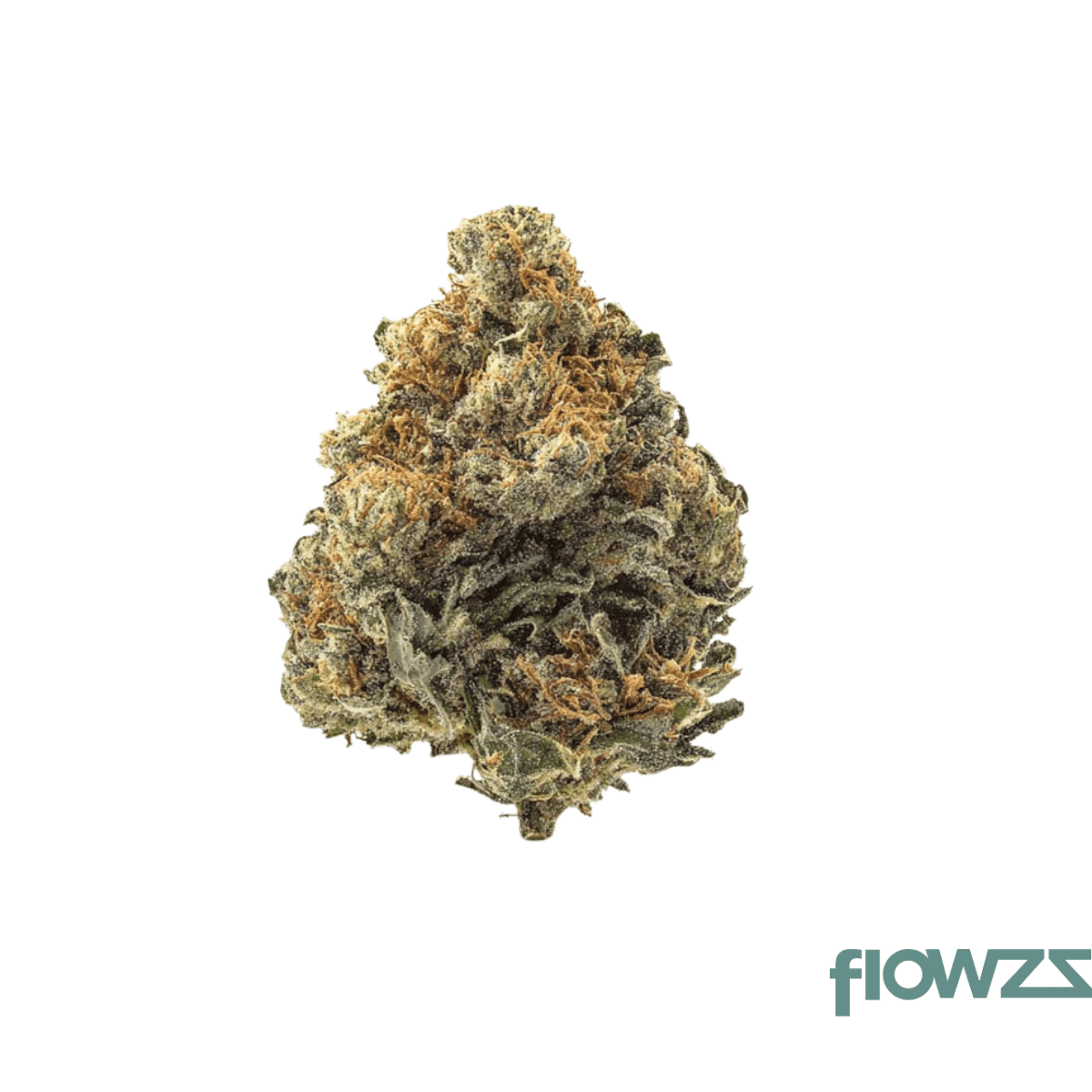 imc-lr-thc27-limonetti-rhino