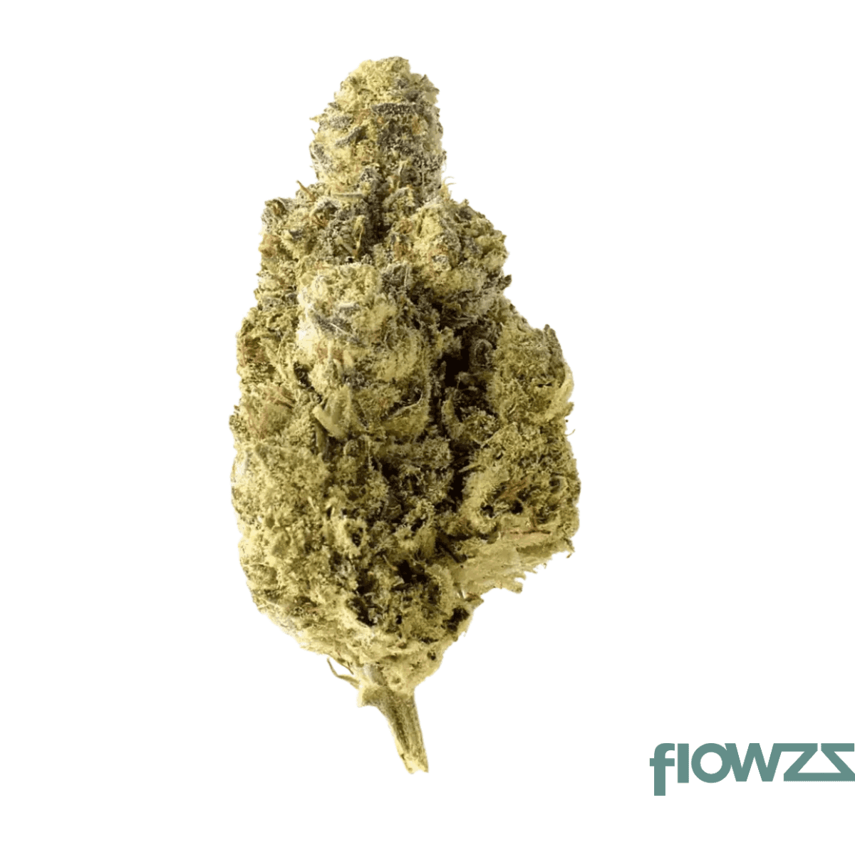 imc-gmo-thc27-token-purple-malawi