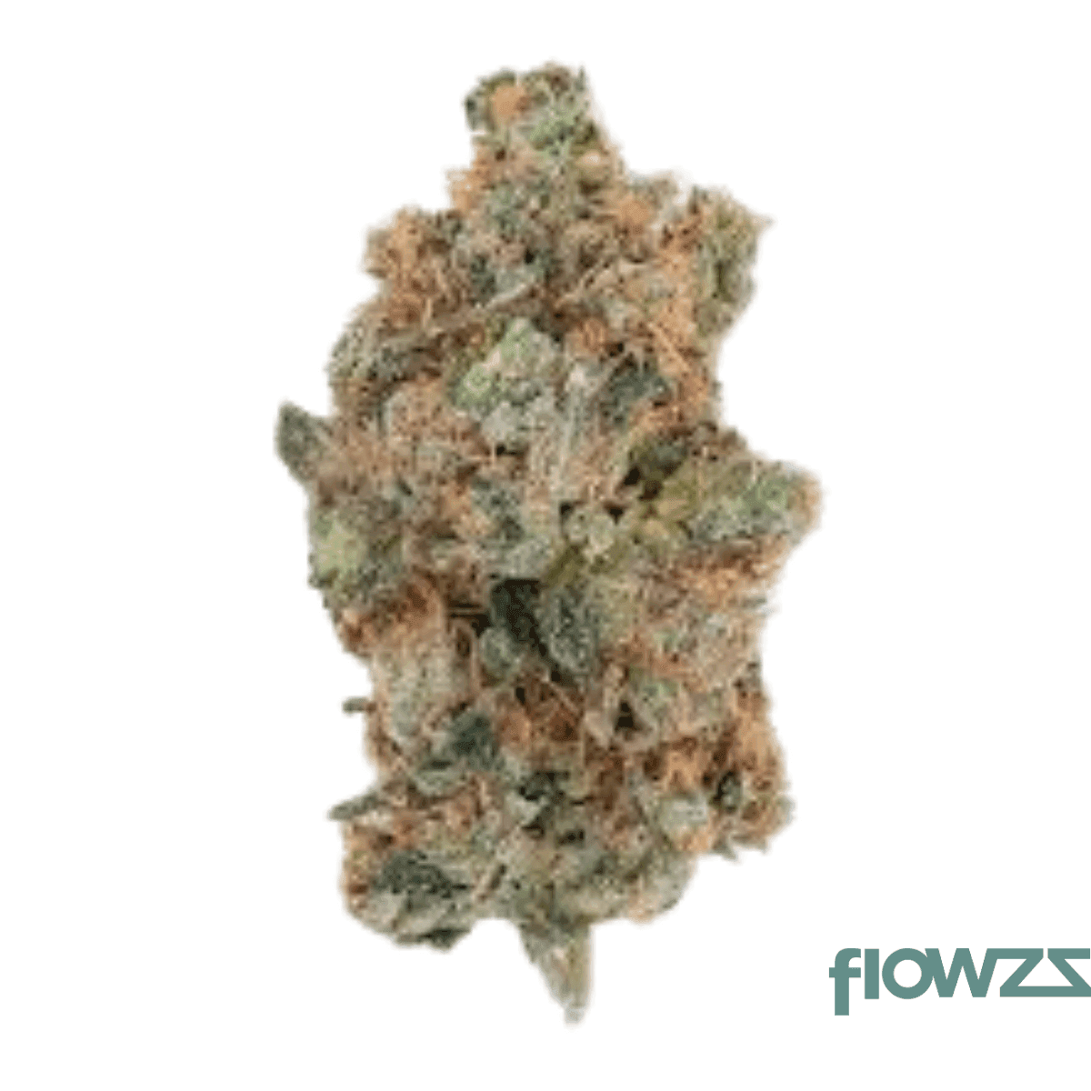 remexian-30-1-bpu-thr-thunderrot