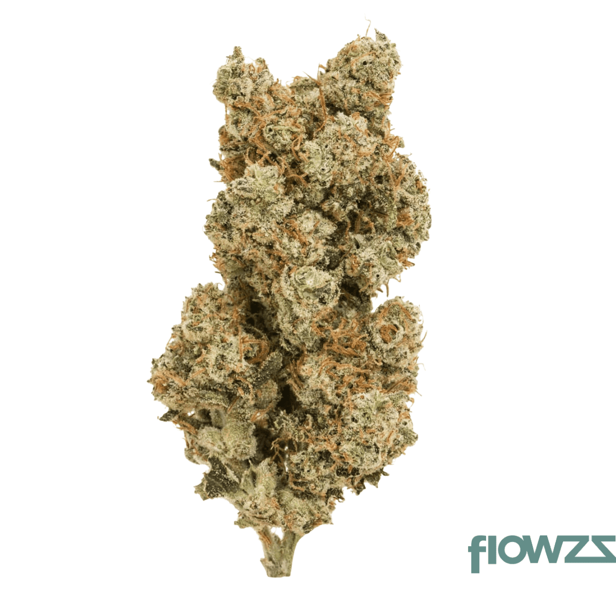cannabis-flos-18-1-cl-ku-herer-widow