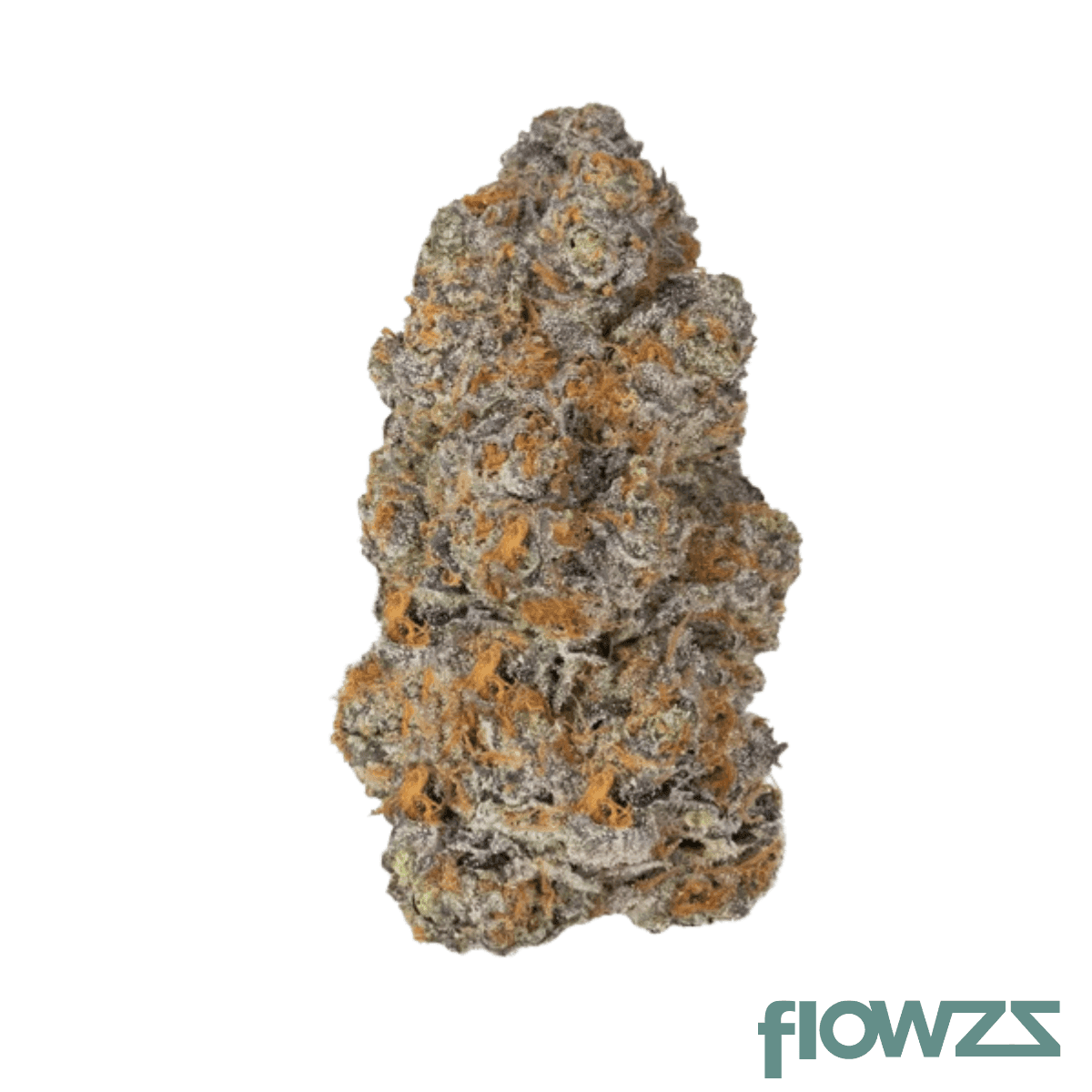 tannenbusch-26-1-tf-tubitti-frubitti