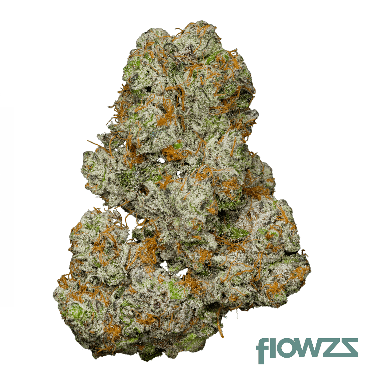 luana-20-1-gsc-girl-scout-cookies