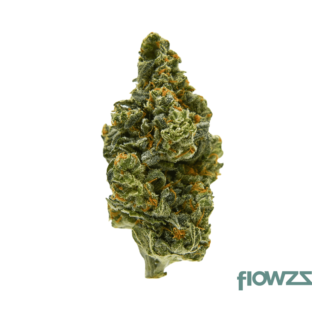 apex-chy-ca-27-1-choc-monkey