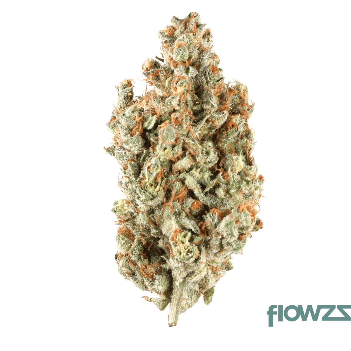 weeco-peridot-25-1-slightly-stoopid-fruits