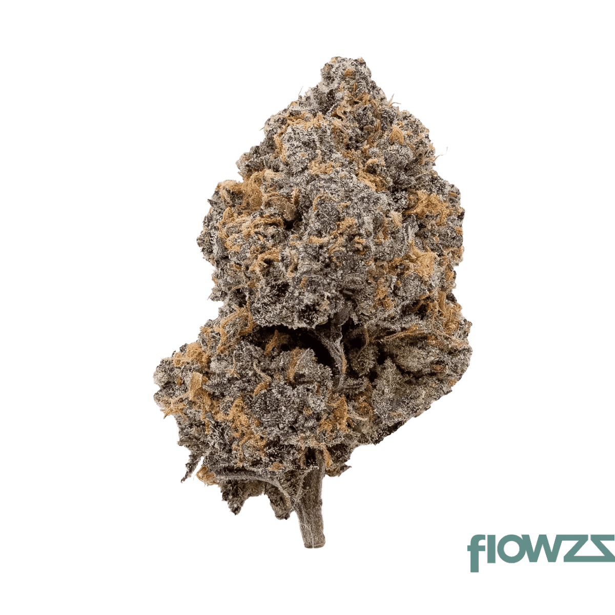 drwatson-19-day-df-aus-da-funk