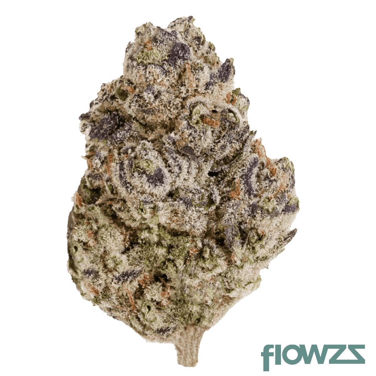 enua-25-1-ps3-black-cherry-punch