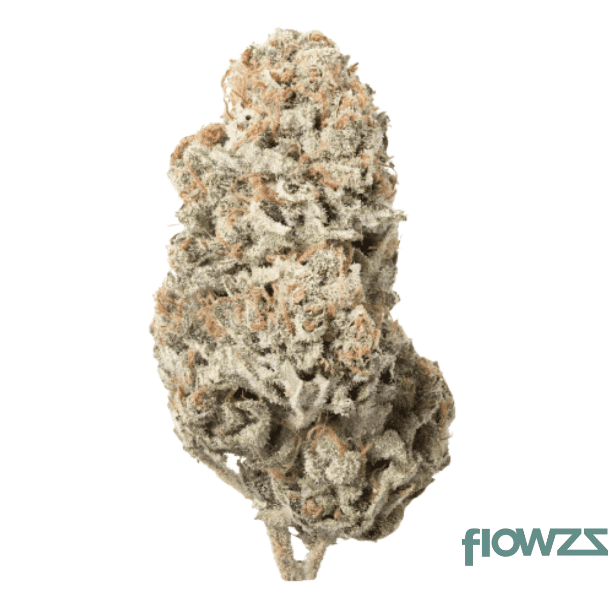 remexian-21-1-bpu-brb-big-red-beard