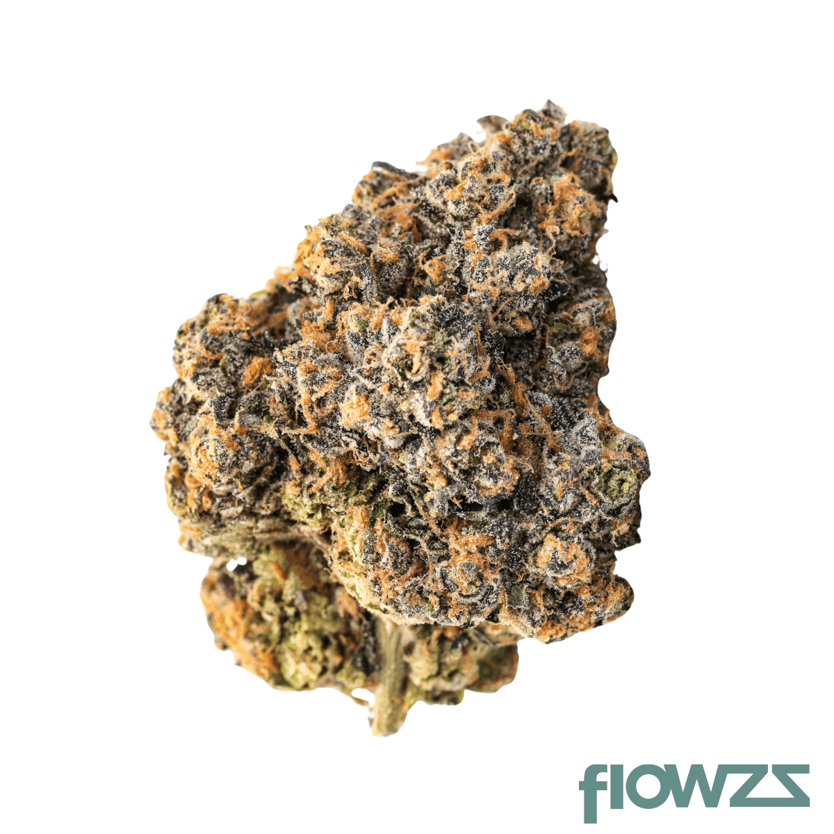 amici-25-1-yhe-cookies-gelato-yahemi