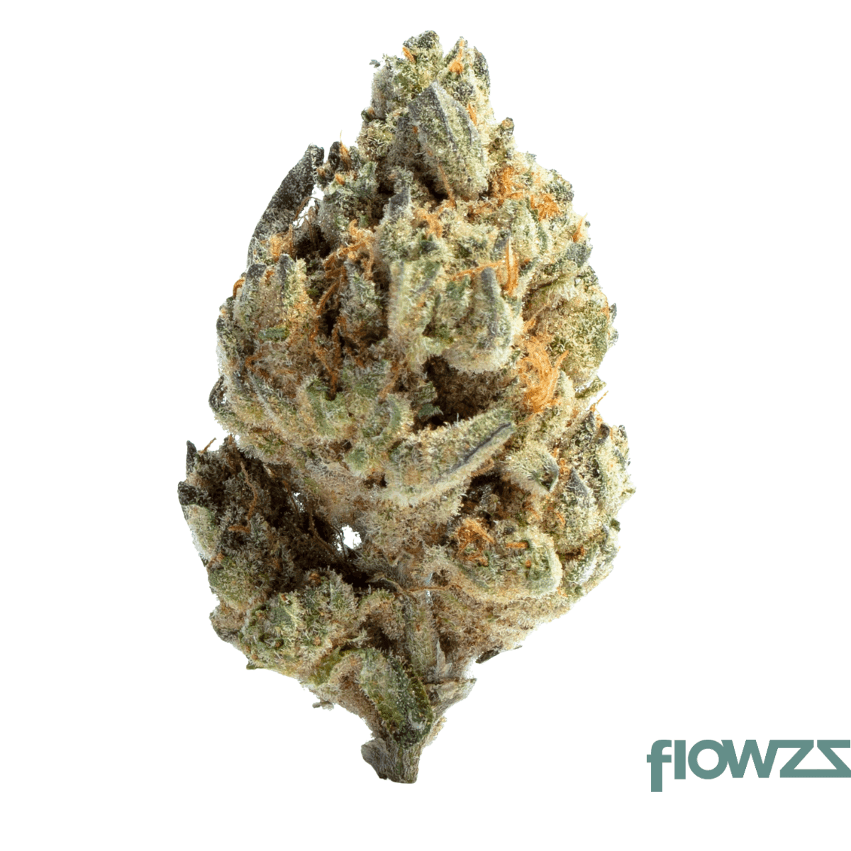 apollo-28-1-jgn-think-fast