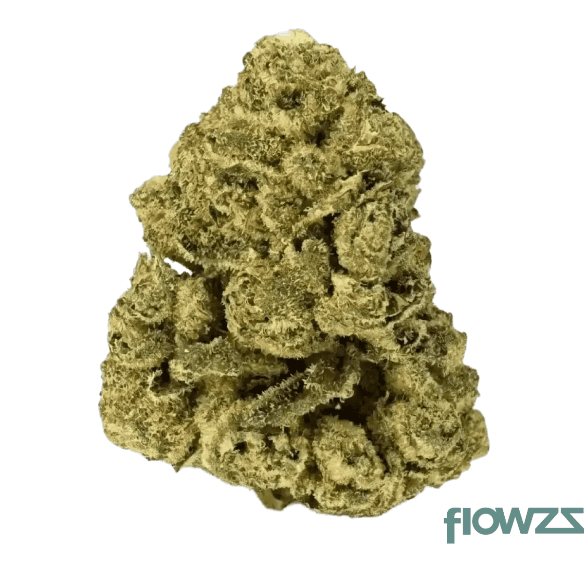 remexian-24-1-bpu-brb-big-red-beard