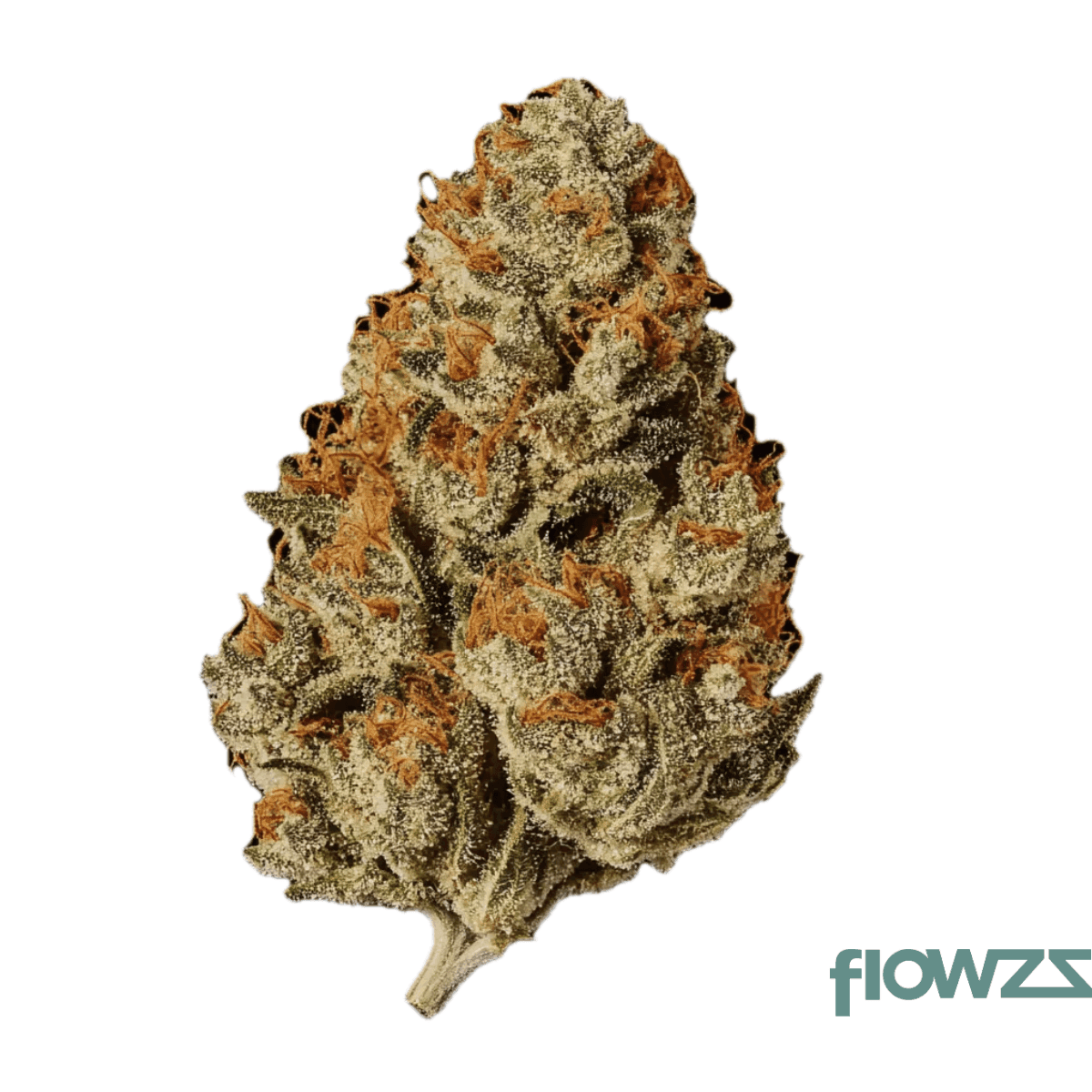 cannamedical-cm-28-1-og-kush