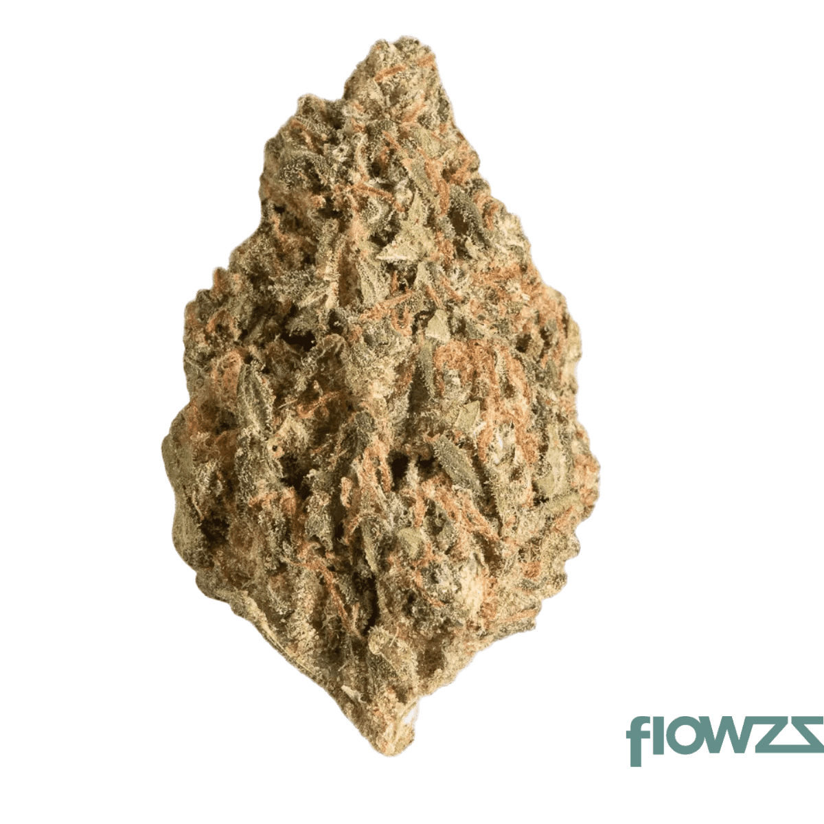 cannamedical-cm-24-1-rain