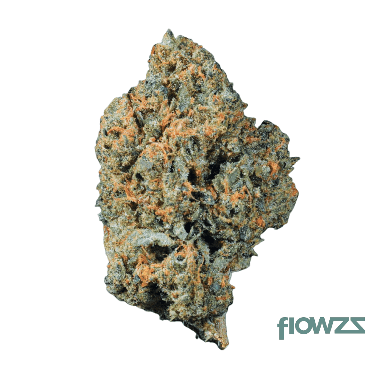 24-1-amici-pki-pink-kitty