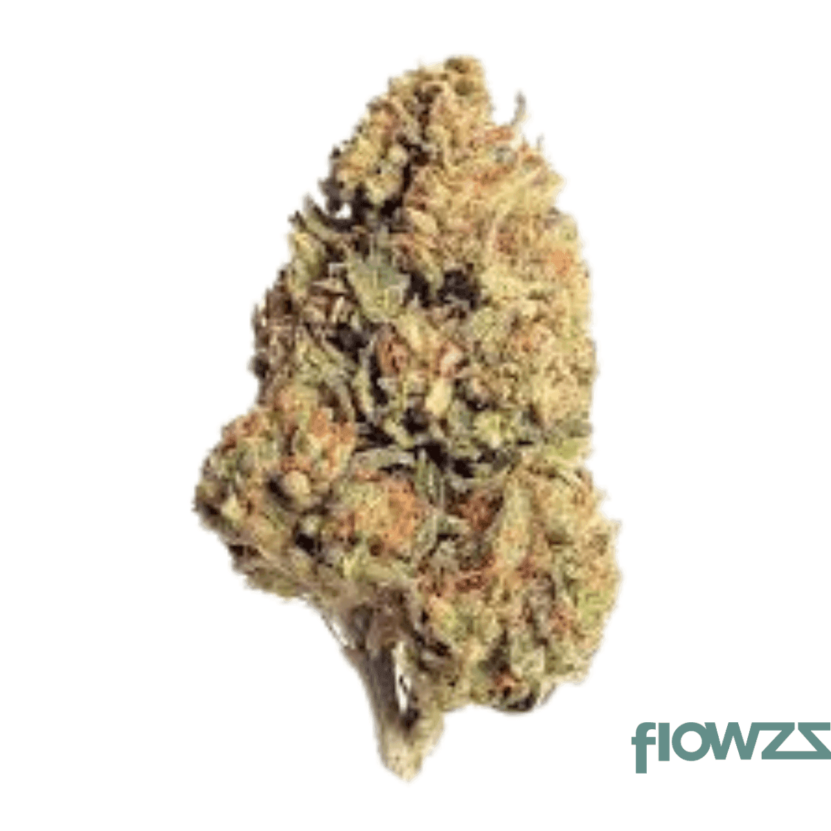 remexian-21-1-eza-ww-white-widow