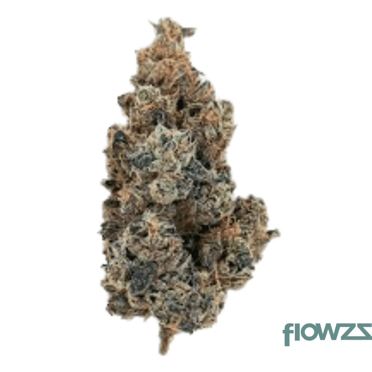 enua-ssv-ca-30-1-sweet-san-valley