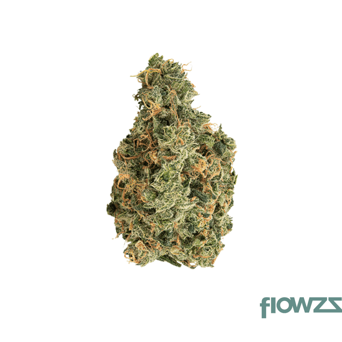 remexian-27-1-hcc-gra-gran-francorino