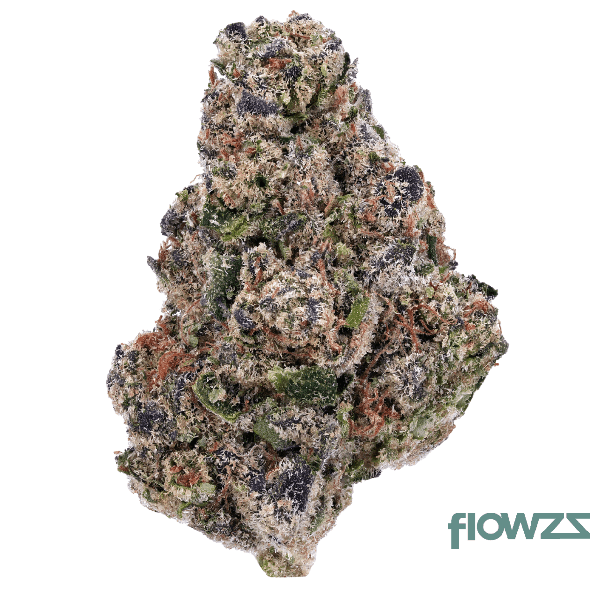 remexian-24-1-all-gsc-girl-scout-cookies