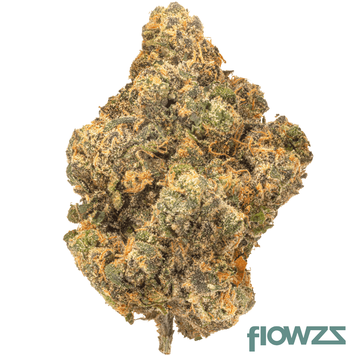 medical-saints-18-1-cta-ceremony-tart-c