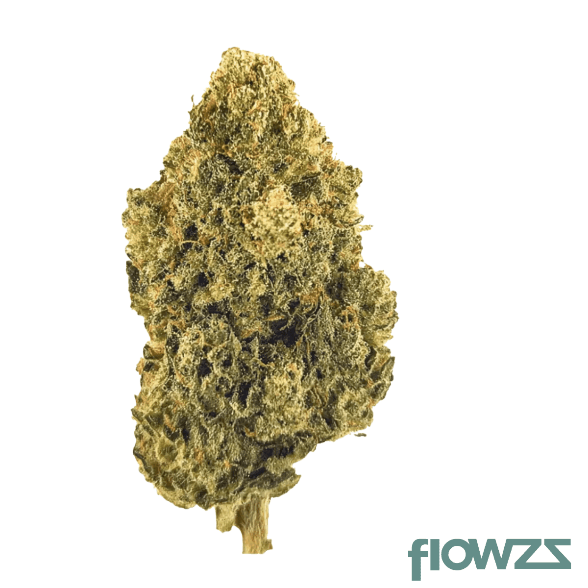 nice-30-1-bm-blueberry-muffin