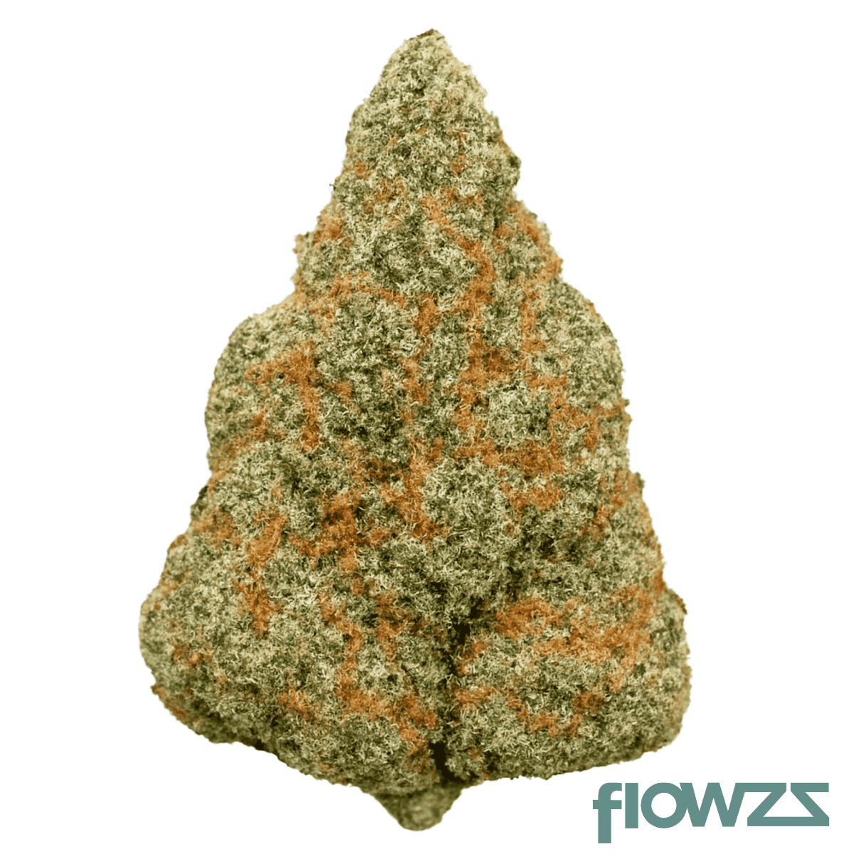 origine-nature-med-26-1-medellin