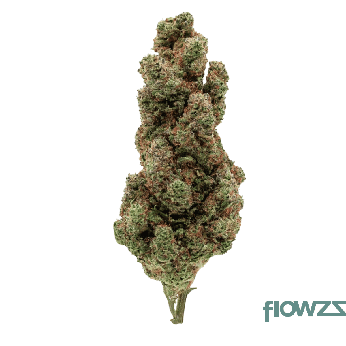 canngo-32-1-cr-diesel-chem