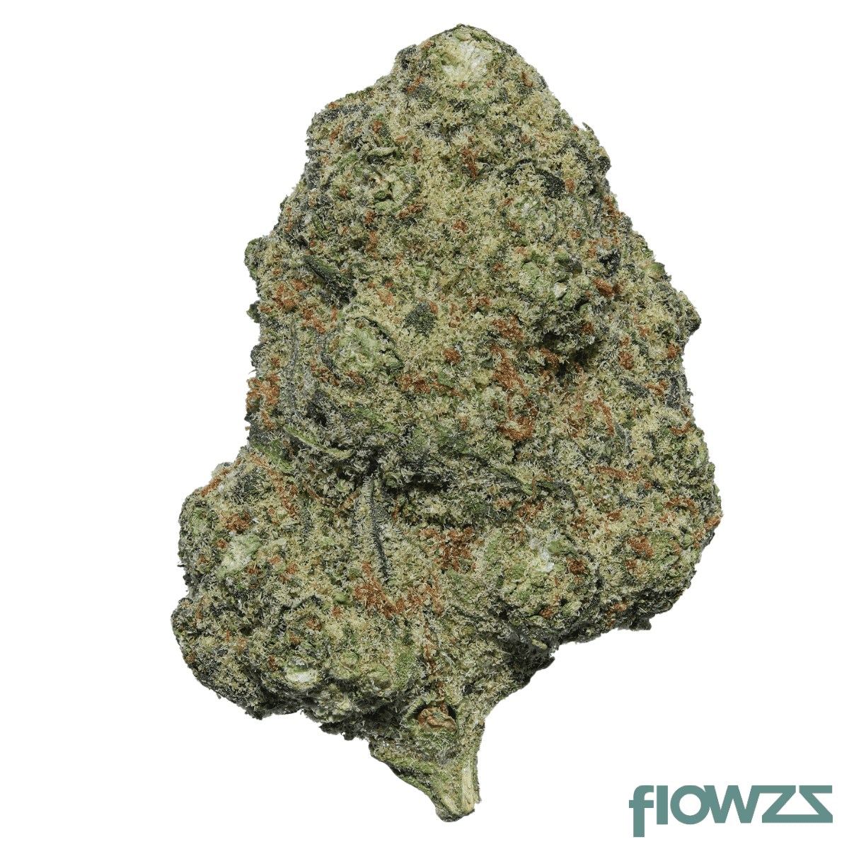 medical-saints-18-1-moi-mochi