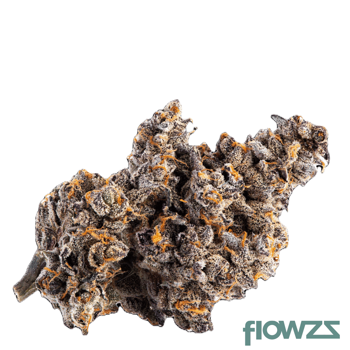 nice-20-1-GE-gelatti