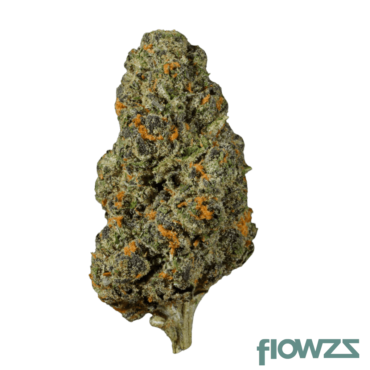 amici-22-1-pma-permanent-marker