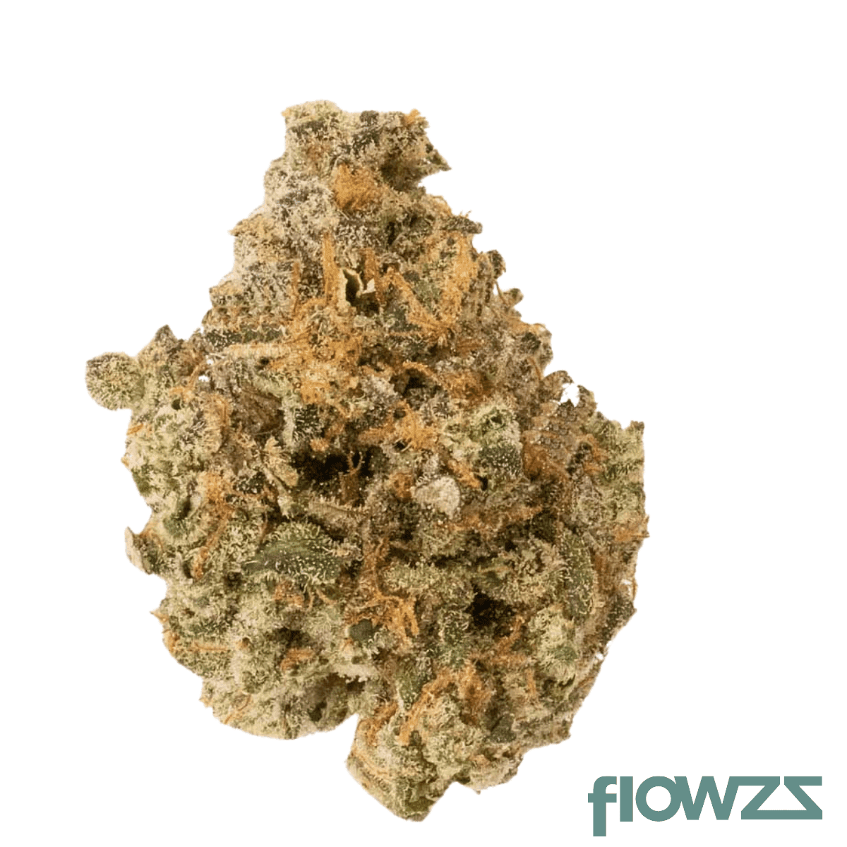 medical-saints-15-1-gpa-gary-payton