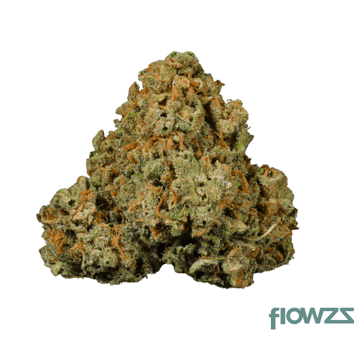 zoiks-22-1-moc-mochellow