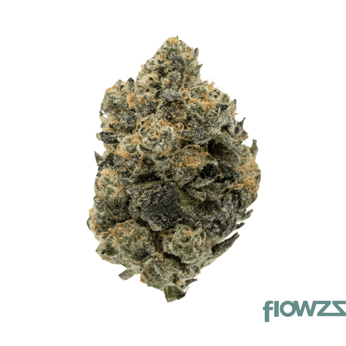 remexian-21-1-all-gsc-girl-scout-cookies